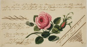 Unbetiteltes Valentinsbild (Rosa Blume)