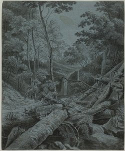 Wasserfall und gefallene Baumstämme im Wald von Unknown artist