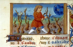 Zodiac Widder und Baumschnitt - Miniatur des Mittelalters (ref. 137, 047r) - Genehmigung der Stadtbibliothek Toulouse erforderlich (tel: 05 62 27 66 66) von Unknown artist