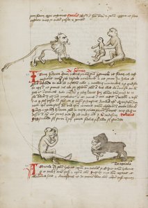 Ein Löwe mit einem Affen und seinem Jungen; Ein Affe; Ein Bär, der einen jungen Affen frisst