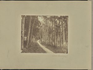 Avenue Tiendong von Unknown artist/maker