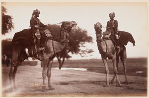 Kamelreiter im Delhi Übungslager von Unknown photographer