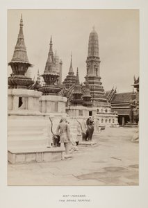 Fotografie im Fotoalbum