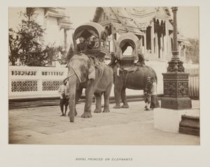Fotografie im Fotoalbum