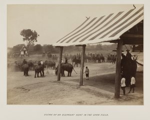 Fotografie im Fotoalbum