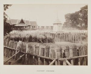 Fotografie im Fotoalbum