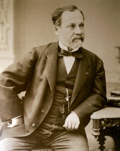 Porträt von Louis Pasteur von Unknown photographer