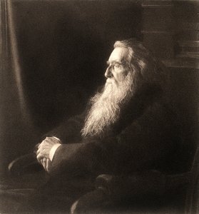 Reproduktion eines Fotos des englischen Kunstkritikers John Ruskin von Unknown photographer