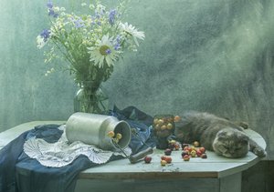 Schlafende Katze und Kirschen