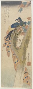 (Pfau auf Ahornbaum), frühes 19. Jahrhundert