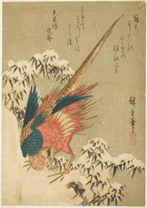 Ein Goldfasan inmitten von schneebedecktem Bambus an einem steilen Hang von Utagawa Hiroshige