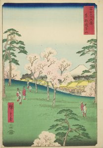 Asuka-Hügel in der östlichen Hauptstadt (Toto Asukayama), aus der Serie "Sechsunddreißig Ansichten des Berges Fuji (Fuji sanjurokkei)" von Utagawa Hiroshige