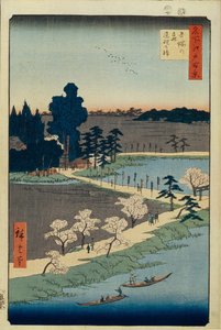 Azuma no mori Schrein und die verschlungenen Kampferbäume, Hundert berühmte Ansichten von Edo, 1856-1858