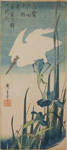 Weiße fliegende Reiher und blaue Schwertlilien / Shobu to shirasagi von Utagawa Hiroshige