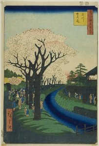 Blüten am Damm des Tama-Flusses, aus der Serie "Hundert berühmte Ansichten von Edo"