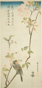Gimpel auf Aronia-Zweig von Utagawa Hiroshige