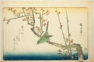 Buschsänger auf Pflaumenzweig von Utagawa Hiroshige
