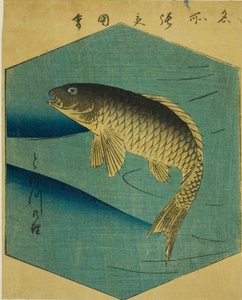 Karpfen im Tone-Fluss (Tonegawa no koi), Abschnitt eines Blattes aus der Serie "Ausschnitte berühmter Orte in Edo (Edo meisho harimaze zue)" von Utagawa Hiroshige