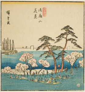 Kirschblütenbesichtigung am Goten-Hügel (Gotenyama hanami), Abschnitt eines Blattes aus der Serie "Berühmte Orte in der östlichen Hauptstadt (Toto meisho)"