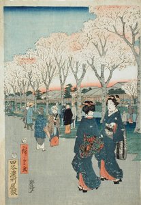 Kirschblüten am Juwelenflussufer von Utagawa Hiroshige