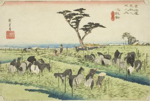 Chiryu: Frühsommer-Pferdemarkt (Chiryu, shuka uma ichi), aus der Serie "Fifty-three Stations of the Tokaido (Tokaido gojusan tsugi no uchi)," auch bekannt als Hoeido Tokaido