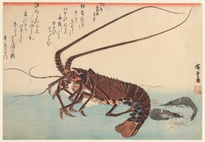 Krebs und zwei Garnelen, aus der Serie Große Fische, 1840 von Utagawa Hiroshige