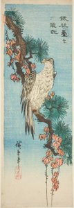 Falke auf efeubedecktem Kiefernzweig von Utagawa Hiroshige