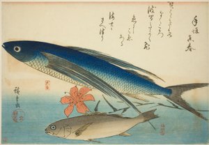 Fliegender Fisch und Ichimochi, aus einer unbetitelten Serie von Fischen von Utagawa Hiroshige