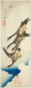 Fliegende Gänse und Vollmond
