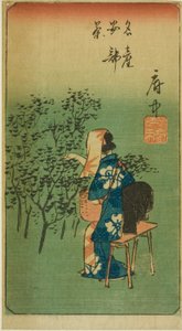 Fuchu, Abschnitt des Blattes Nr. 5 aus der Serie "Ausschnitte der dreiundfünfzig Stationen (Gojusan tsugi harimaze)" von Utagawa Hiroshige