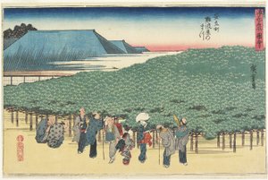 Riesenkiefer von Naniwaya in Anryu-machi, ca. 1834