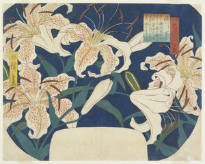 Geschenk: Gefleckte Lilien, ca. 1844