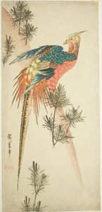 Goldfasan und Kieferntriebe im Schnee von Utagawa Hiroshige