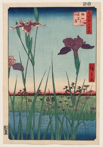 Schwertliliengarten von Horikiri von Utagawa Hiroshige