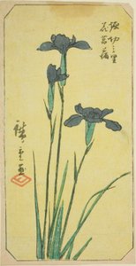 Iris im Dorf Horikiri, Abschnitt eines Blattes aus der Serie "Ausschnitte berühmter Orte in Edo" von Utagawa Hiroshige