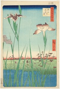 Schwertlilien in Horikiri (Horikiri no hanashobu), aus der Serie "Hundert berühmte Ansichten von Edo (Meisho Edo hyakkei)"