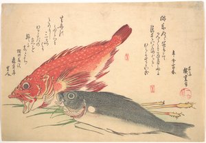 Isaki und Kasago Fisch, aus der Serie Uozukushi (Jede Fischart) von Utagawa Hiroshige
