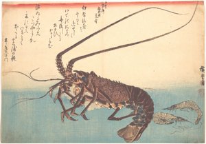 Ise-ebi und Shiba-ebi, aus der Serie Uozukushi (Jede Art von Fisch) von Utagawa Hiroshige