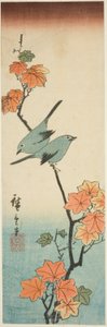 Japanische Weißaugen auf einem Ahornzweig von Utagawa Hiroshige