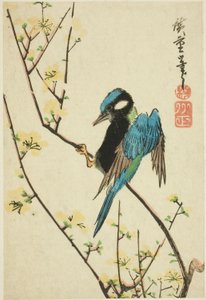 Java-Sperling auf Kirschzweig von Utagawa Hiroshige