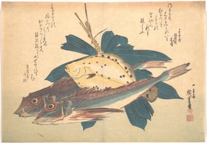 Kanagashira- und Karei-Fische, aus der Serie Uozukushi (Jede Art von Fisch) von Utagawa Hiroshige