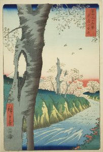 Koganei in der Provinz Musashi (Musashi Koganei), aus der Serie "Sechsunddreißig Ansichten des Berges Fuji (Fuji sanjurokkei)" von Utagawa Hiroshige