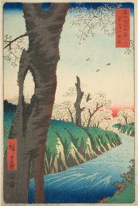 Koganei in der Provinz Musashi (Musashi Koganei), aus der Serie "Sechsunddreißig Ansichten des Berges Fuji (Fuji sanjurokkei)" von Utagawa Hiroshige