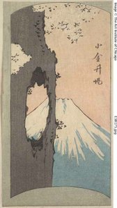 Koganei, Abschnitt eines Blattes aus der Serie "Ausschnitte berühmter Orte in Edo (Edo meisho harimaze zue)" von Utagawa Hiroshige