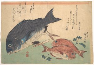Kurodai und Kodai Fisch mit Bambussprossen und Beeren, aus der Serie Uozukushi (Jede Fischart) von Utagawa Hiroshige