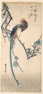 Langschwänziger Vogel von Utagawa Hiroshige