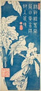 Loquat und Vogel