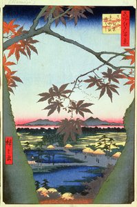 Ahornbäume bei Mam, Tekona-Schrein und verbundene Brücke, Platte 94 aus der Serie Einhundert Ansichten von Edo, Edo-Periode, Ansei-Ära, 1857 von Utagawa Hiroshige