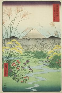 Otsuki-Ebene in der Provinz Kai (Kai Otsuki no hara), aus der Serie "Sechsunddreißig Ansichten des Berges Fuji (Fuji sanjurokkei)"