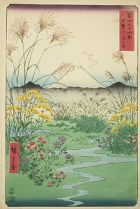 Otsuki-Ebene in der Provinz Kai (Kai Otsuki no hara), aus der Serie "Sechsunddreißig Ansichten des Berges Fuji (Fuji sanjurokkei)"
